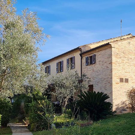 Le Residenze Degli Ulivi Hotel Campofilone Exterior photo